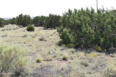 96 Alpine Lane, Concho, AZ 85924 - Photo 1