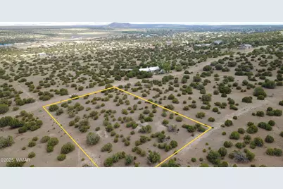 1 Concho Valley, Concho, AZ 85924 - Photo 8