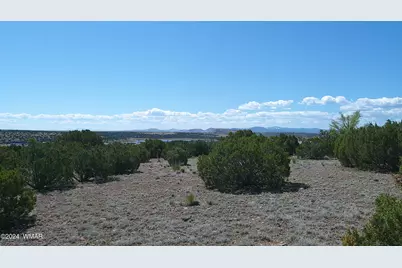 1 Concho Valley, Concho, AZ 85924 - Photo 22