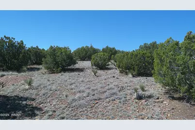 1 Concho Valley, Concho, AZ 85924 - Photo 30