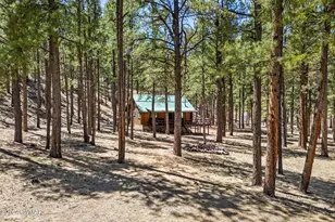 9 Cr N 1029 St, Greer, AZ 85927 - Photo 8