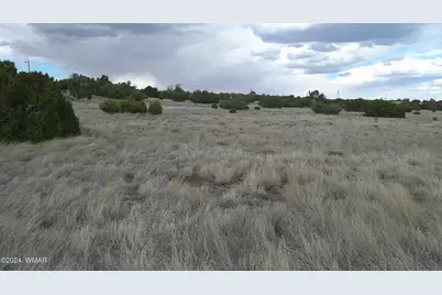 24 County Road 8009, Concho, AZ 85924 - Photo 20