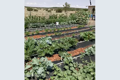 105 County Road, Concho, AZ 85924 - Photo 16