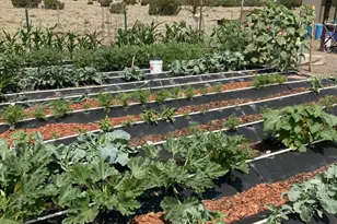 105 County Rd, Concho, AZ 85924 - Photo 16