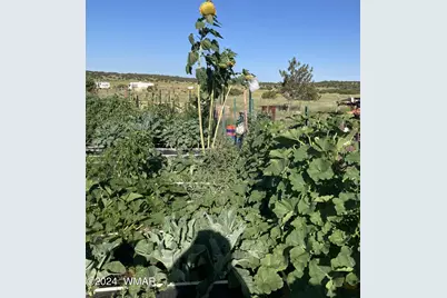 105 County Road, Concho, AZ 85924 - Photo 18