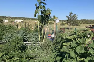 105 County Rd, Concho, AZ 85924 - Photo 18