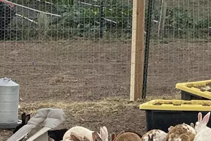 105 County Rd, Concho, AZ 85924 - Photo 32