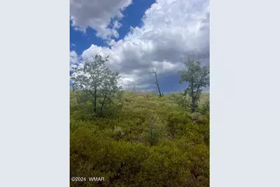 Lot 015 Fieldy Road, Show Low, AZ 85901 - Photo 6