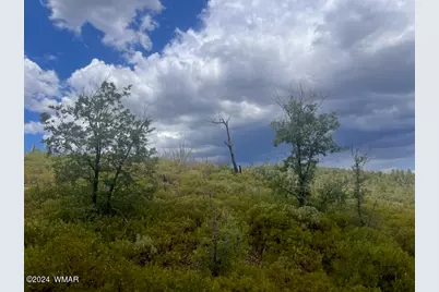 Lot 015 Fieldy Road, Show Low, AZ 85901 - Photo 8