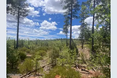 Lot 015 Fieldy Road, Show Low, AZ 85901 - Photo 24