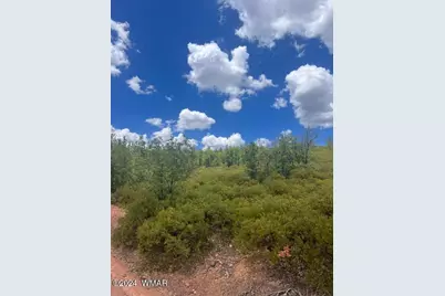 Lot 015 Fieldy Road, Show Low, AZ 85901 - Photo 4