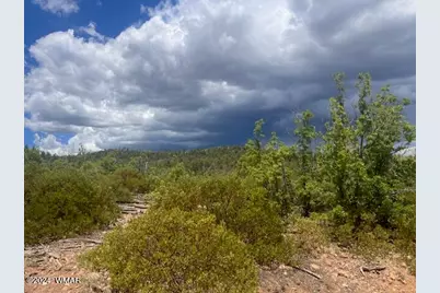 Lot 015 Fieldy Road, Show Low, AZ 85901 - Photo 20