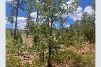 Lot 015 Fieldy Road, Show Low, AZ 85901 - Photo 28