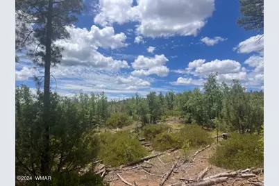 Lot 015 Fieldy Road, Show Low, AZ 85901 - Photo 22