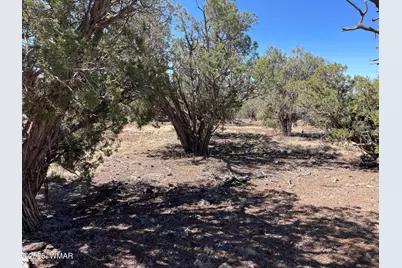54 Schultz Road, Concho, AZ 85924 - Photo 2