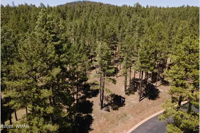 9586 Sierra Springs Way, Pinetop, AZ 85935 - Photo 1