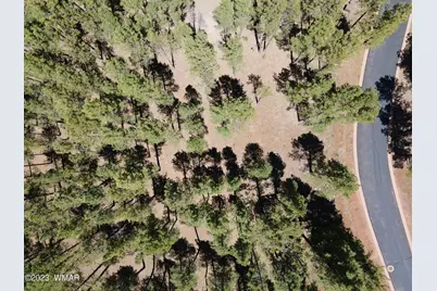 9586 Sierra Springs Way, Pinetop, AZ 85935 - Photo 2