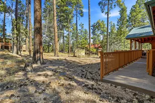 3 Cr 2190, Alpine, AZ 85920 - Photo 28