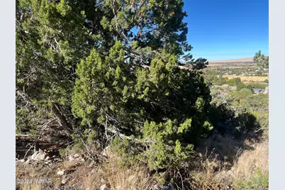 Tbd S Skyline Drive, Eagar, AZ 85925 - Photo 4