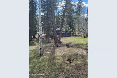 6 County Road 1007, Unit 6 #6, Greer, AZ 85927 - Photo 14