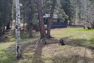 6 County Road 1007 Unit 6, Greer, AZ 85927 - Photo 14