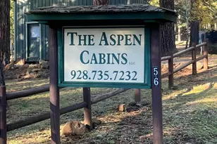 6 County Road 1007 Unit 6, Greer, AZ 85927 - Photo 12