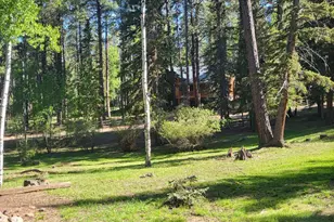 6 County Road 1007 Unit 6, Greer, AZ 85927 - Photo 16