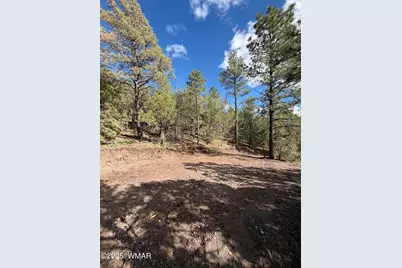 75 County Road 2108, Nutrioso, AZ 85932 - Photo 1