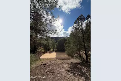 75 County Road 2108, Nutrioso, AZ 85932 - Photo 6