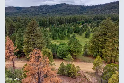 75 County Road 2108, Nutrioso, AZ 85932 - Photo 4