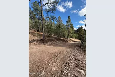 75 County Road 2108, Nutrioso, AZ 85932 - Photo 4