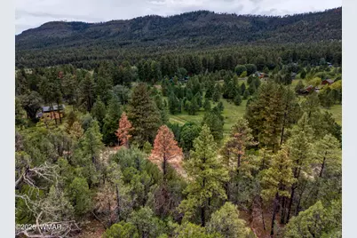 75 County Road 2108, Nutrioso, AZ 85932 - Photo 10