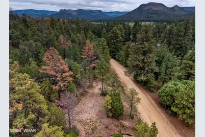 75 County Road 2108, Nutrioso, AZ 85932 - Photo 1
