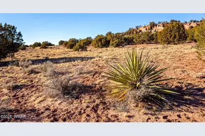 9645 Texas Lane, Show Low, AZ 85901 - Photo 16