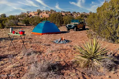 9645 Texas Lane, Show Low, AZ 85901 - Photo 1