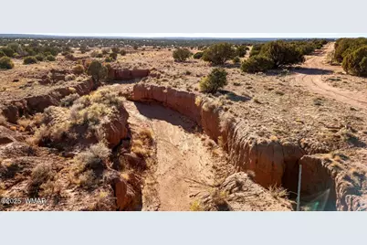 9645 Texas Lane, Show Low, AZ 85901 - Photo 14