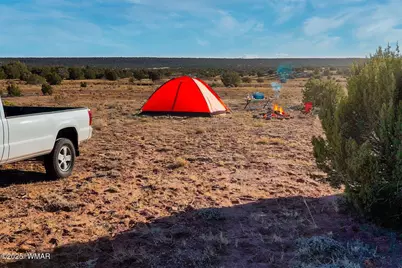 9645 Texas Lane, Show Low, AZ 85901 - Photo 2