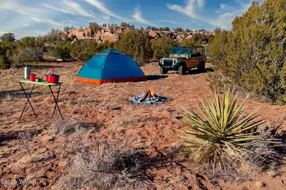 9645 Texas Lane, Show Low, AZ 85901 - Photo 4