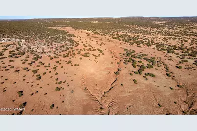 9645 Texas Lane, Show Low, AZ 85901 - Photo 10