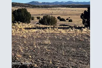 38 8626, Concho, AZ 85924 - Photo 2