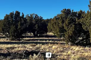 38 8626, Concho, AZ 85924 - Photo 1