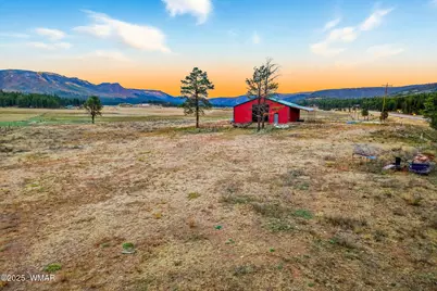 42856 Us-180, Alpine, AZ 85920 - Photo 12