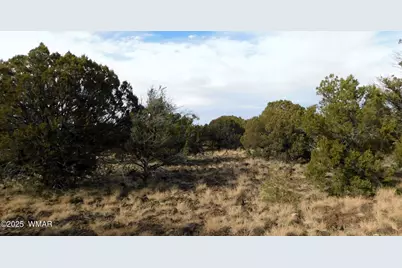 10 County Road N 3071, Vernon, AZ 85940 - Photo 4