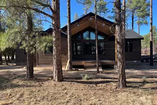 4991 Winter Hawk Ct, Lakeside, AZ 85929 - Photo 18