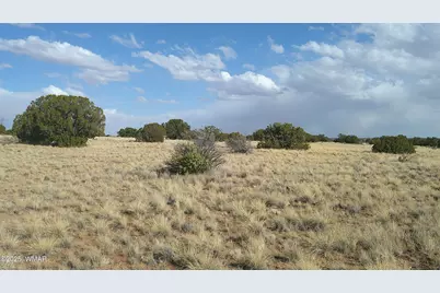 Tbd Heber Unsubdivided, Heber, AZ 85928 - Photo 38