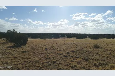 Tbd Heber Unsubdivided, Heber, AZ 85928 - Photo 34