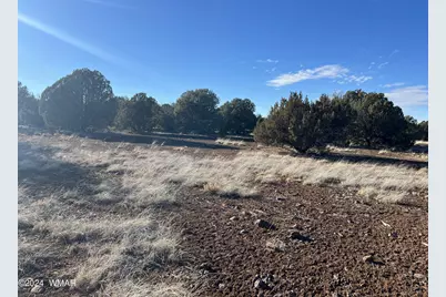 2036 Sitgreaves Ranch Road, Show Low, AZ 85901 - Photo 14