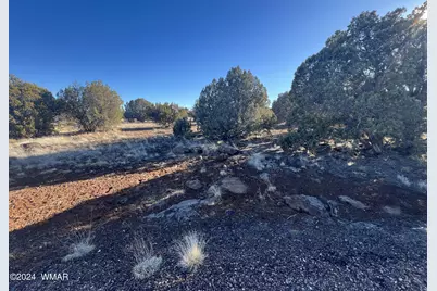 2008 Rosa Lane, Show Low, AZ 85901 - Photo 10