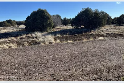 2008 Rosa Lane, Show Low, AZ 85901 - Photo 4