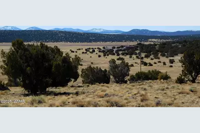 Tbd County Road 8500, Concho Valley, AZ 85924 - Photo 4